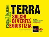 Solchi di Verità e Giustizia: per una maggiore consapevolezza nella lotta alle mafie e alla corruzione